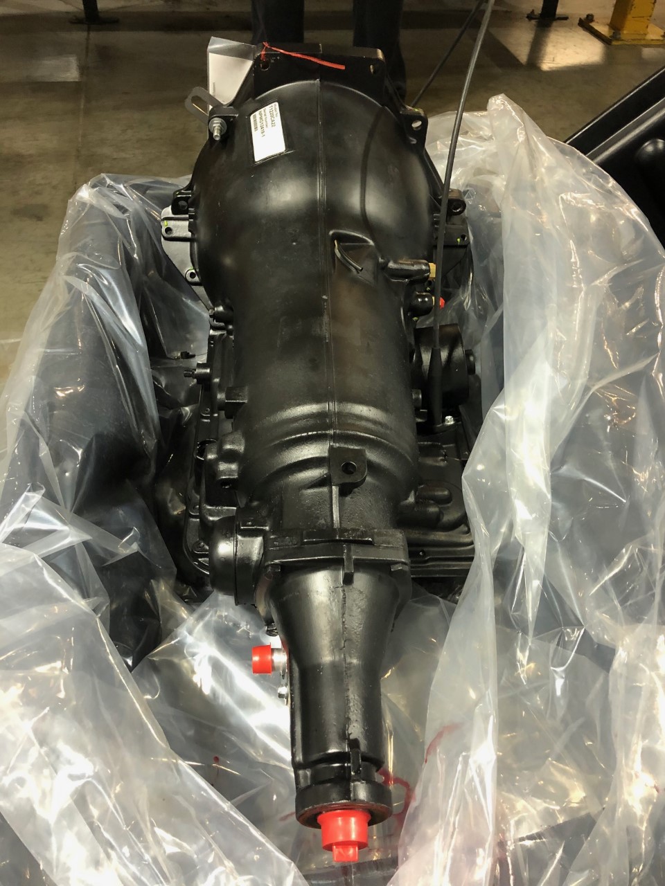 WBI70022