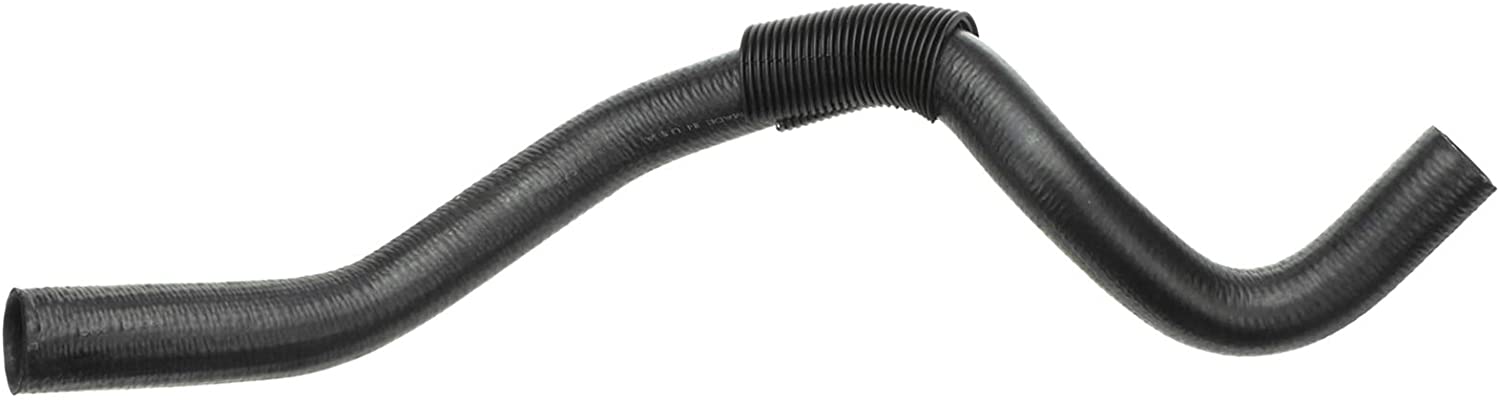 21204