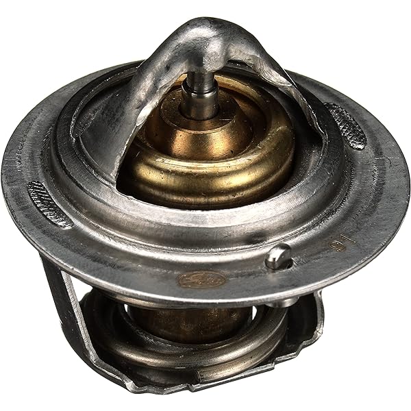 33429S