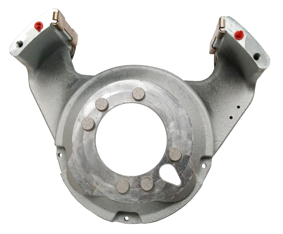 BRAF10