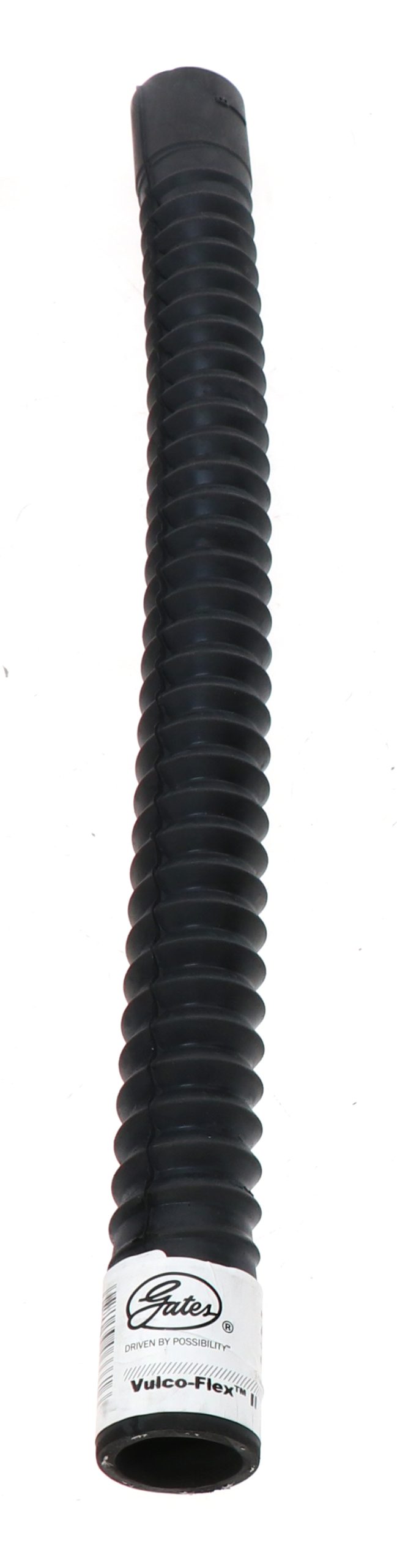 25255