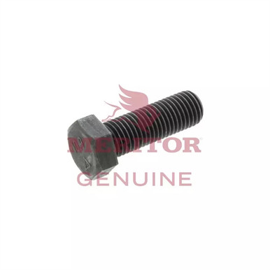 MS220060P-1 Meritor Metric Capscrew