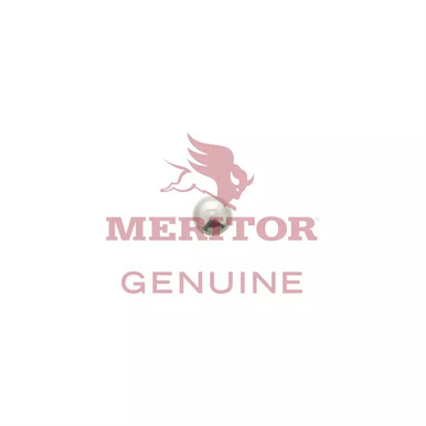 1898Z1066 Meritor 50 Pack Ball