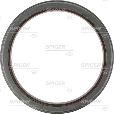 N61011 Dana Spicer Seal
