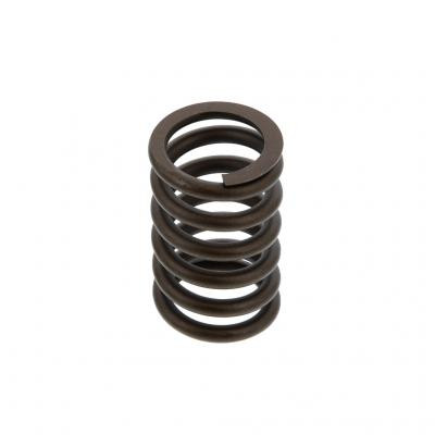 PAI Industries 491030 IH DT466E INTAKE VALVESPRING