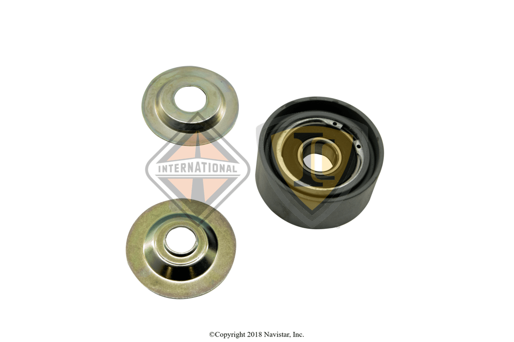 2513354C1 | Genuine International Idler Pulley