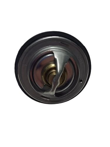 62064020063 | Genuine International Thermostat